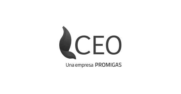 CEO