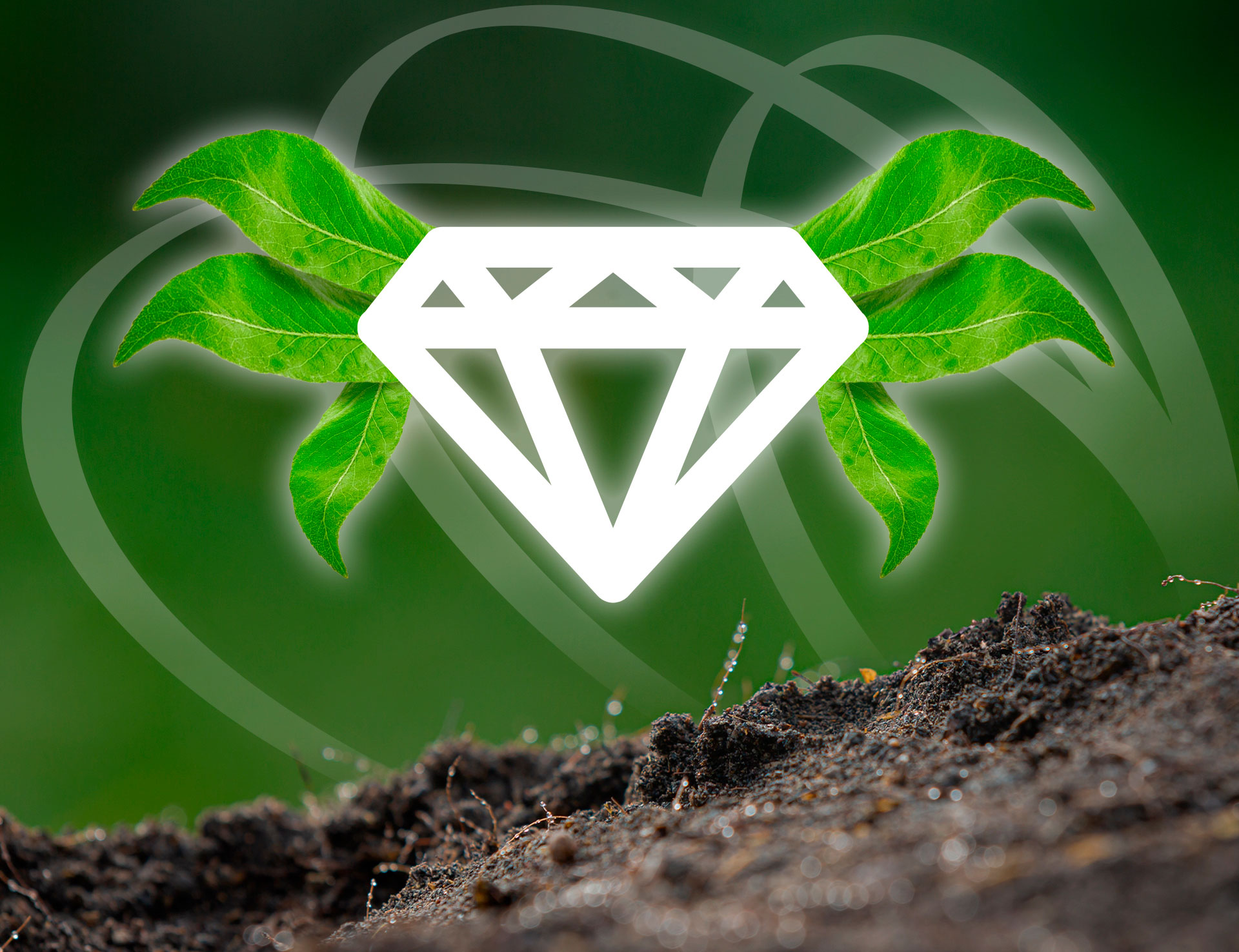 IT Staffing aplicado a la industria del agro